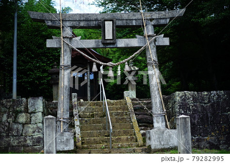 鳥居 鳥居 79282995
