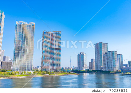 東京都の都市風景 晴海臨海公園 水辺のテラス周辺の風景 79283631