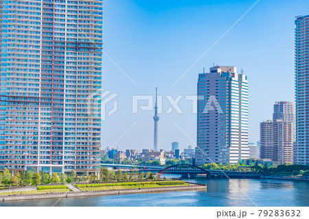 東京都の都市風景 晴海臨海公園 水辺のテラス周辺の風景 79283632