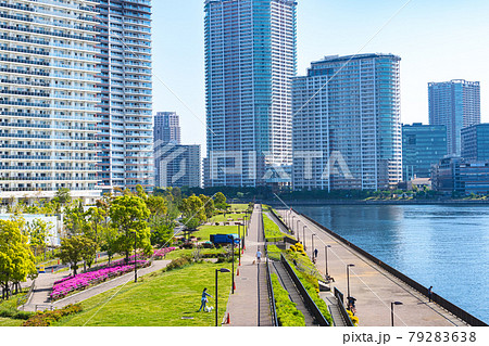 東京都の都市風景 晴海臨海公園 水辺のテラス周辺の風景 79283638