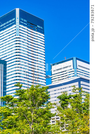 東京都の都市風景 晴海1丁目周辺の高層ビル群 79283671