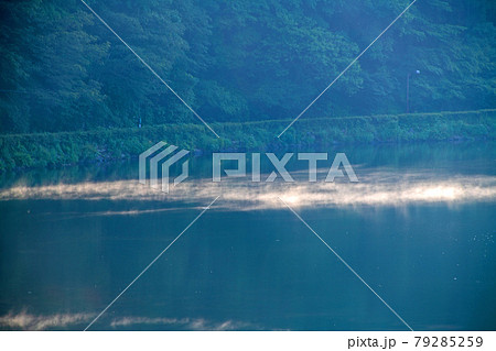碓氷湖　坂本ダム　早朝のもや　初夏の周辺景色　　　　　　 79285259