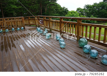 北山崎の大自然 79285262