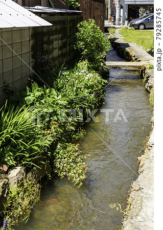 新見御殿町　水路　岡山県新見市 79285745