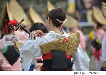 本場徳島阿波踊り 三味線奏者の後姿の写真素材