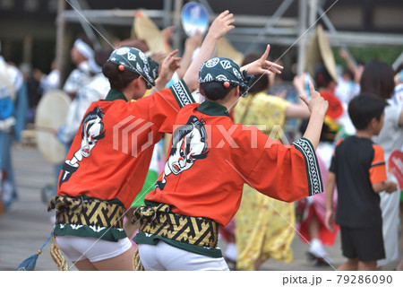 本場徳島阿波踊り 法被姿の男踊りの写真素材