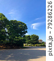 夏の公園 79286226