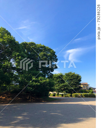 夏の公園 79286226