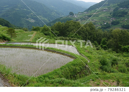 高知大豊町 八畝棚田 高知大豊町 八畝棚田 79286321