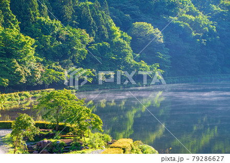 碓氷湖　坂本ダム　早朝のもや　初夏の周辺景色　　　　　　 79286627