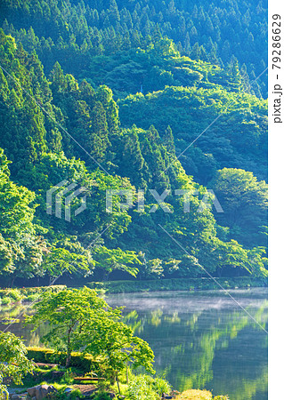 碓氷湖　坂本ダム　早朝のもや　初夏の周辺景色　　　　　　 79286629