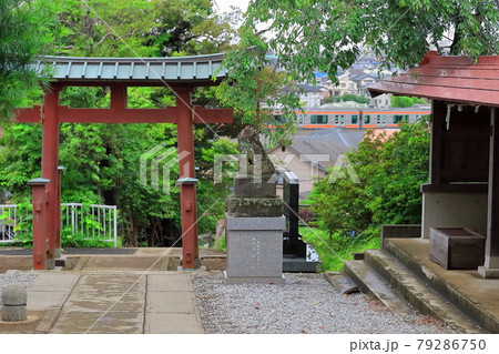 熊野神社(千葉県松戸市) 熊野神社(千葉県松戸市) 79286750