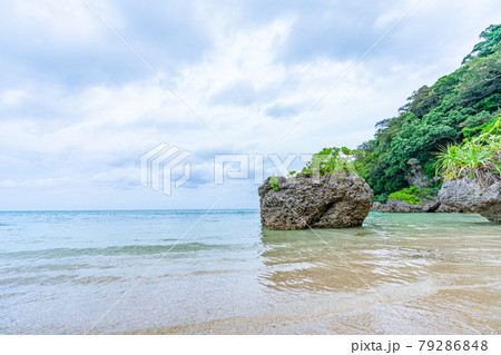 沖縄県　石垣市　リゾート　島　天国　夏休み　観光　旅行　サビチ鍾乳洞　鍾乳洞　ビーチ　ジャングル 79286848