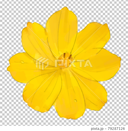 一輪の黄色い花のイラスト 79287126