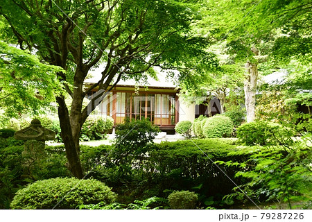 神奈川県立大磯城山公園　旧三井別邸地区の茶室「城山庵」と日本庭園新緑 79287226