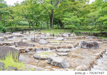 公園の水場 公園の水場 79287497