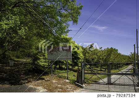 羅生門　さくら公園　岡山県新見市 79287534