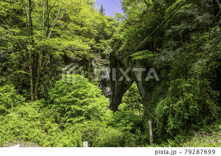 羅生門 岡山県新見市 羅生門 岡山県新見市 79287699