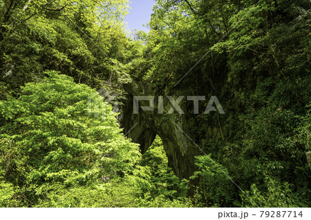 羅生門 岡山県新見市 羅生門 岡山県新見市 79287714