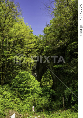 羅生門 岡山県新見市 羅生門 岡山県新見市 79287725