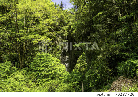 羅生門 岡山県新見市 羅生門 岡山県新見市 79287726