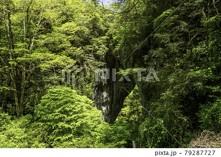 羅生門 岡山県新見市 羅生門 岡山県新見市 79287727