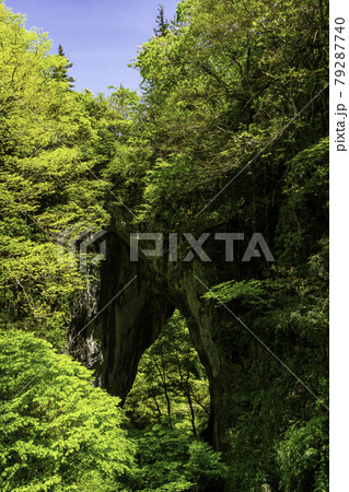 羅生門　岡山県新見市 79287740