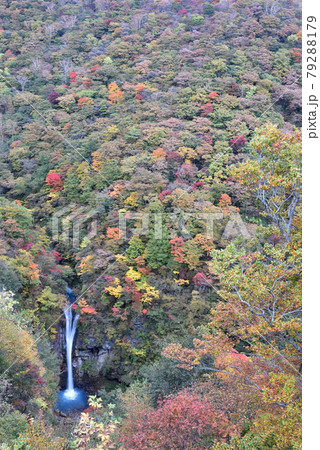 駒止の滝、紅葉、那須、栃木 79288179