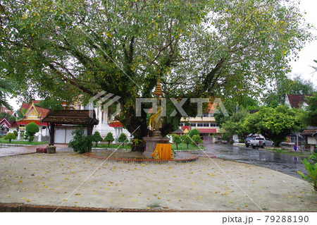 タイ　ワットハートヤイナイ 79288190