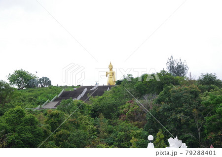 タイ　ハジャイ公園 79288401