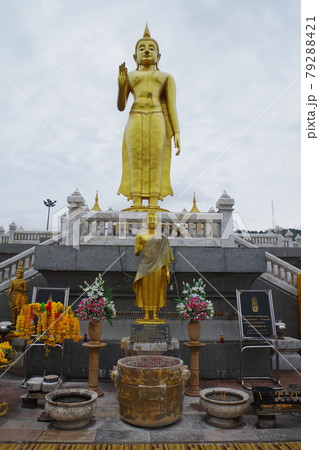 タイ　ハジャイ公園 79288421