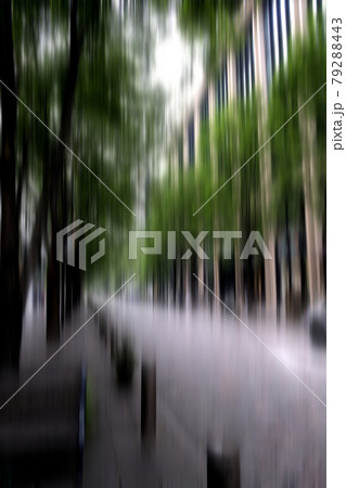 緑のオフィス街　丸の内ビジネス街　街路樹の緑　石畳　道路と歩道 79288443