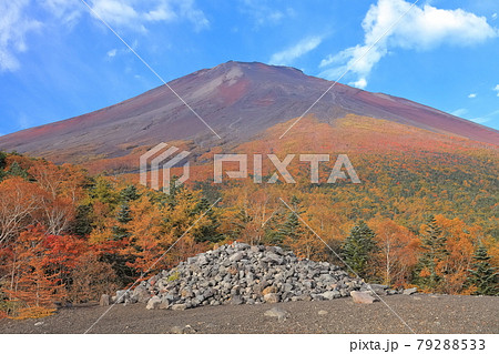 【山梨県】小富士から見た黄葉最盛期の赤富士 79288533