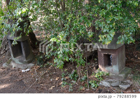 神社の裏手にひっそりとたたずむ小さいかわいい祠の写真素材 [79288599] - PIXTA