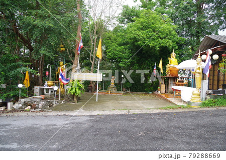 タイ　ハジャイ　プラマハチェーディー・トリポップトリモンコン 79288669