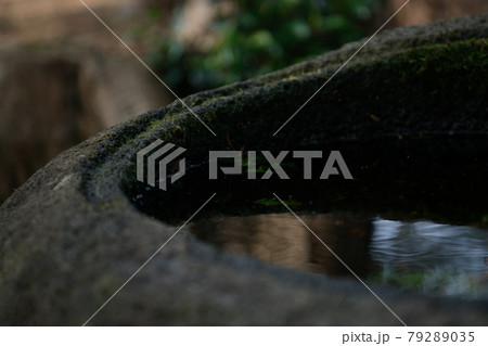 山の上にある神社の石の器に入った水にたたずむ杉の葉 79289035