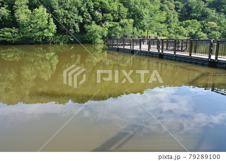 公園の池にある、浮桟橋の写真素材 [79289100] - PIXTA