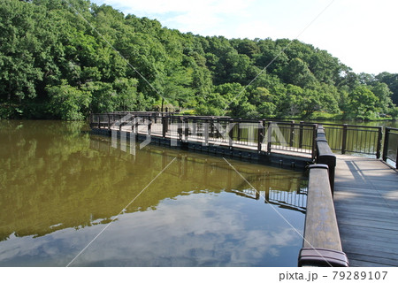 公園の池にある、浮桟橋の写真素材 [79289107] - PIXTA