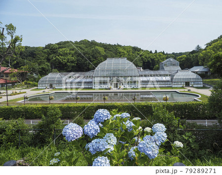 東山動植物園・温室 79289271