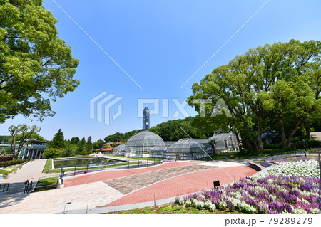 東山動植物園・温室 東山動植物園・温室 79289279