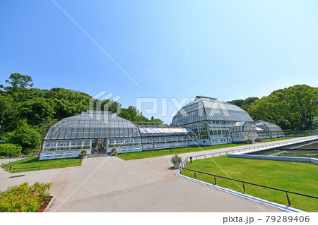 東山動植物園・温室前館 東山動植物園・温室前館 79289406