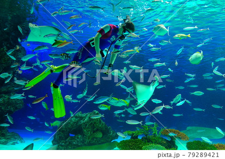 サンシャイン水族館 サンシャイン水族館 79289421