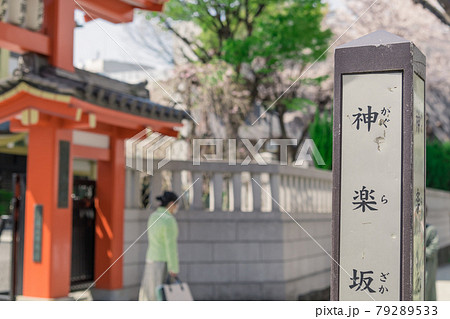 【神楽坂　毘沙門天 善國寺と桜】 79289533