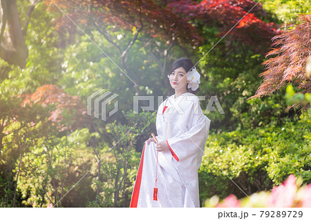 和装ウェディング 新婦 和装ウェディング 新婦 79289729