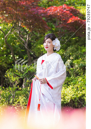和装ウェディング 新婦 和装ウェディング 新婦 79289747