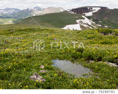 Rocky Mountain national park, USA - trail ridge road Rocky Mountain national park, USA - trail ridge road 79289781