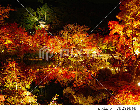 永観堂禅林寺の紅葉と多宝塔 79289969