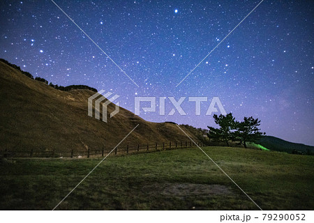 高原の星空と木 79290052