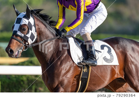 佐賀競馬 79290364