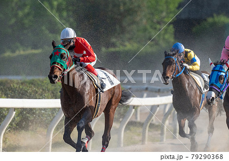佐賀競馬 佐賀競馬 79290368